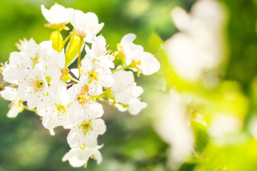 Similar image 22248594