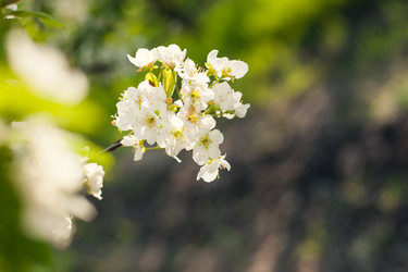 Similar image 22248595