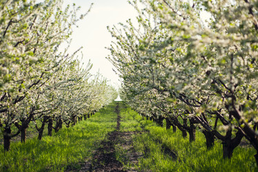 Similar image 22248598