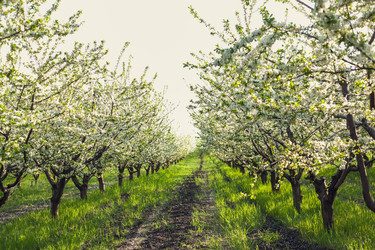 Similar image 22248599