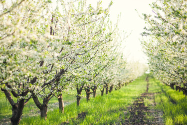 Similar image 22248600