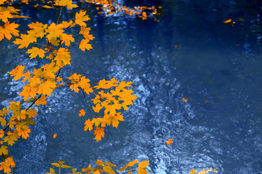 Similar image 22248601