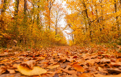 Similar image 22248603