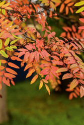 Similar image 22243844