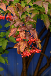 Similar image 22243896