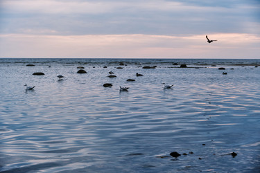 Similar image 22237469