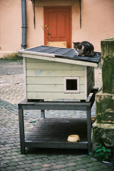 Similar image 22257989