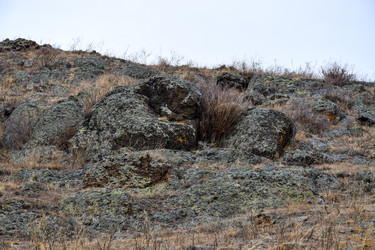 Similar image 22240116