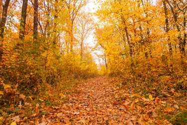 Similar image 22248607