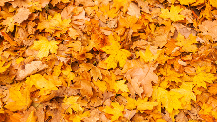 Similar image 22248610