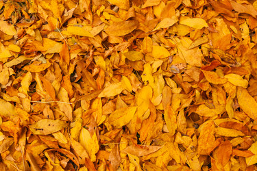 Similar image 22248613