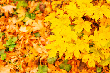 Similar image 22248616