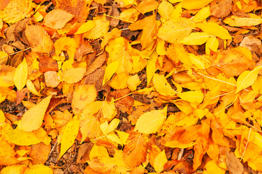 Similar image 22248618