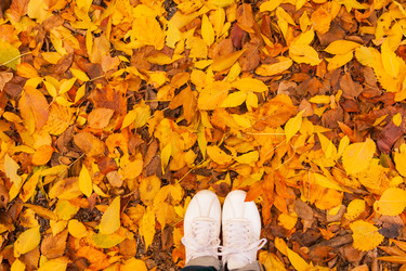 Similar image 22248619