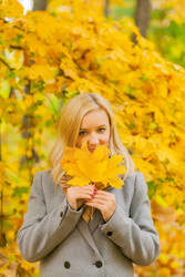 Similar image 22248623