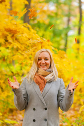 Similar image 22248624