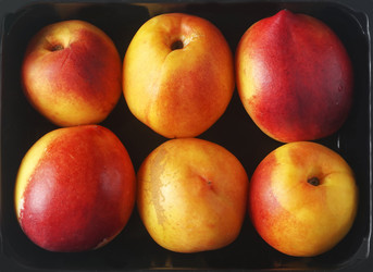 Similar image 22237421