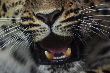 Similar image 22258012