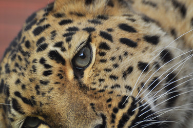 Similar image 22258013