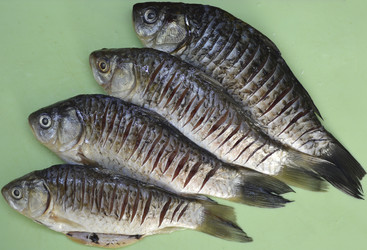 Similar image 22244882