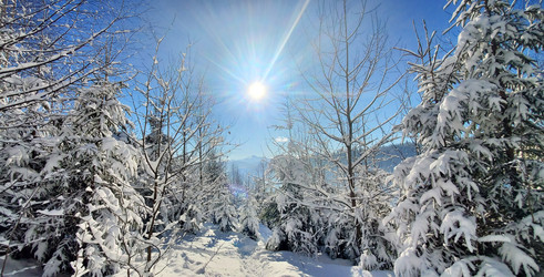 Similar image 22244894