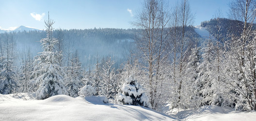 Similar image 22244895