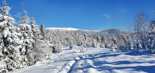 Similar image 22244897