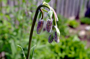 Similar image 22244550