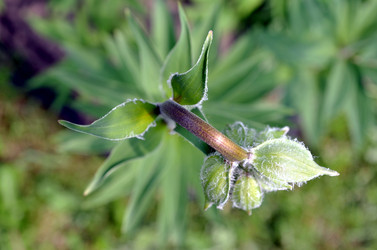 Similar image 22244551