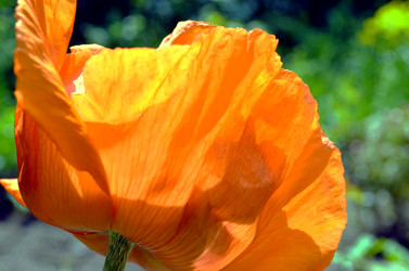 Similar image 22244552