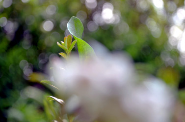 Similar image 22244553