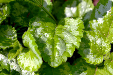 Similar image 22244555