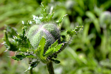 Similar image 22244556