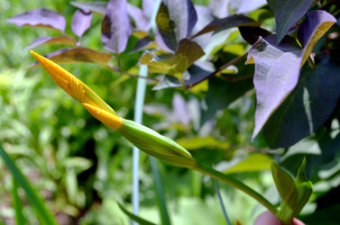 Similar image 22244557