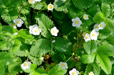 Similar image 22244558