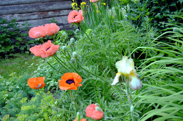 Similar image 22244560