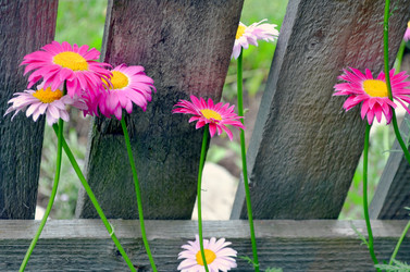 Similar image 22244561