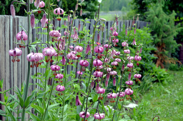 Similar image 22244563