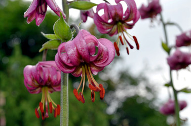 Similar image 22244564