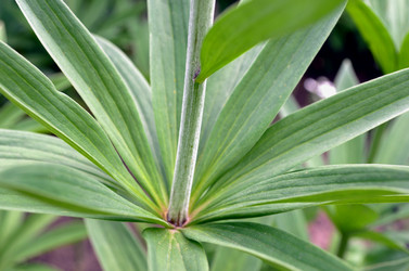 Similar image 22244565