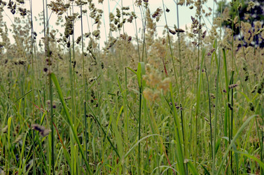 Similar image 22244566