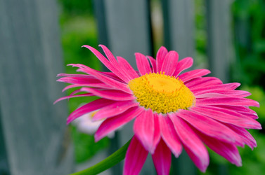 Similar image 22244567