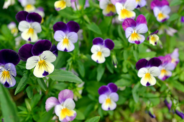 Similar image 22244569