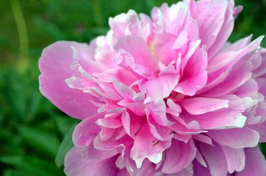 Similar image 22244572