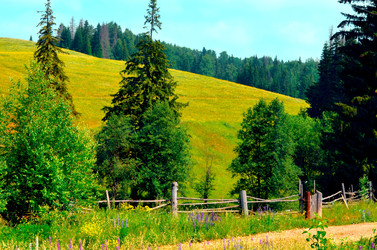 Similar image 22244573