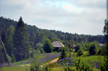 Similar image 22244574