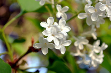 Similar image 22244575