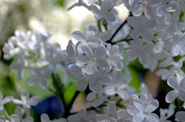 Similar image 22244576