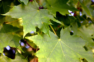 Similar image 22244577