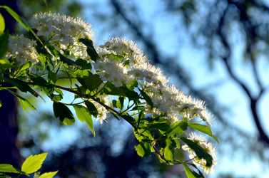 Similar image 22244579